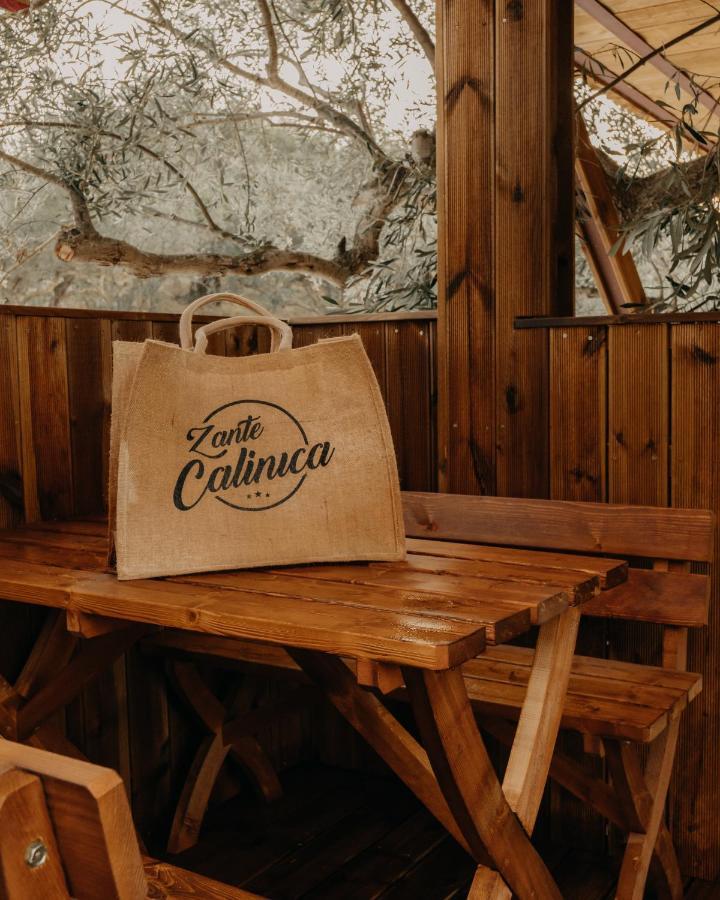 Zante Calinica 3*